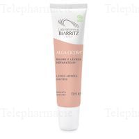 ALGA CICOSA CREME LEVRES