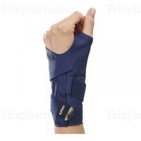 ATTEL MAIN POIG CARP IMMO D S