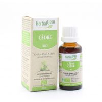 HERBALGEM CEDRE DU LIBAN