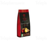 PAGODE ROOIBOS CITR GING BIO