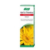 VOGEL GEL ARNICA 100ML