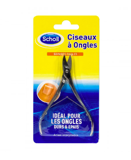 SCHOLL - Ciseaux à ongle acier inoxydable