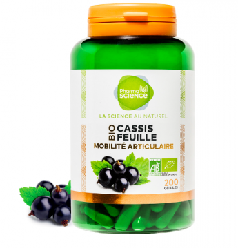 PHARMASCIENCE - Cassis feuille bio 200 gélules