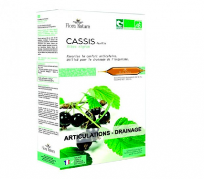 FLORA NATURA - Cassis articulations & drainage bio 20 ampoules 15ml