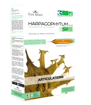 FLORA NATURA - Harpagophytum bio 20 ampoules