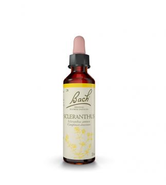 FLEURS DE BACH - n°28 cleranthus 20ml